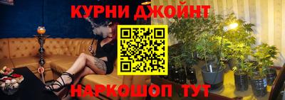 мдпв Кингисепп
