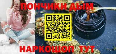 мдпв Кингисепп