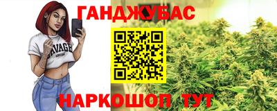 мдпв Кингисепп