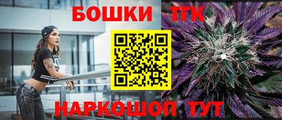 мдпв Кингисепп