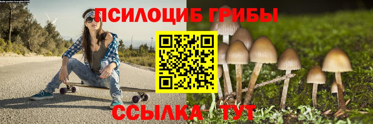 Псилоцибиновые грибы Cubensis  Псилоцибиновые грибы GOLDEN TEACHER  Ялуторовск  Вход с VPN 